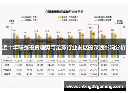 近十年联赛投资趋势与足球行业发展的深远影响分析