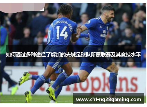 如何通过多种途径了解加的夫城足球队所属联赛及其竞技水平