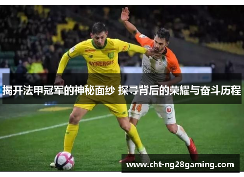 揭开法甲冠军的神秘面纱 探寻背后的荣耀与奋斗历程 揭开法甲冠军的神秘面纱 探寻背后的荣耀与奋斗历程